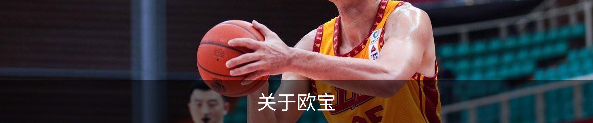 关于欧宝