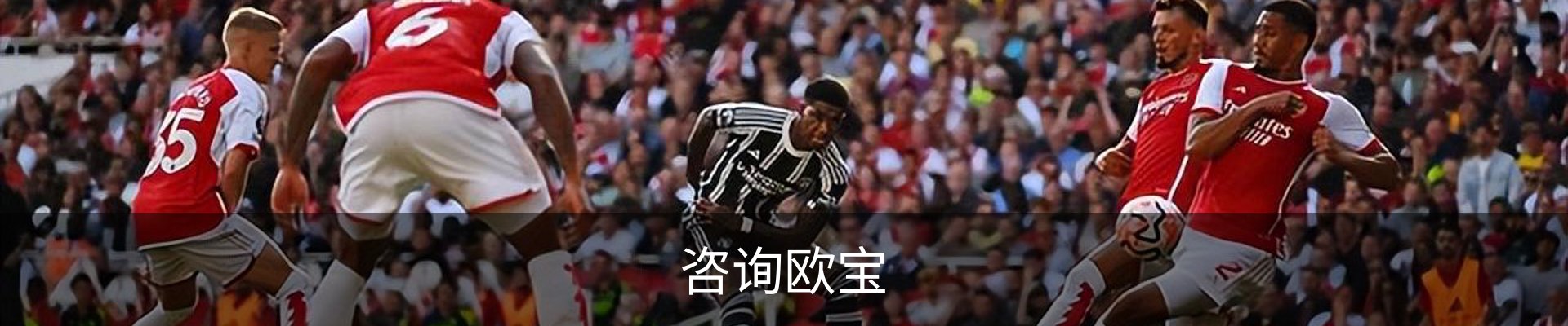 咨询欧宝