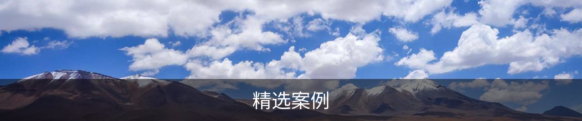 精选案例